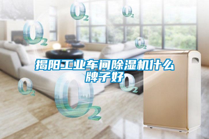 揭阳长征娱乐车间除湿机什么牌子好