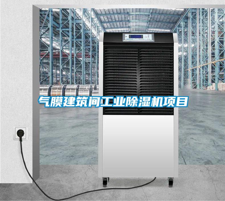 气膜建筑间长征娱乐除湿机项目