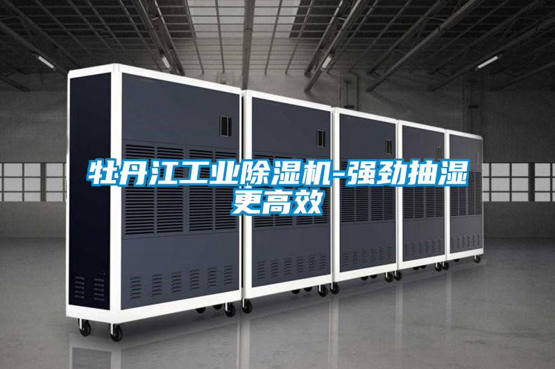 牡丹江长征娱乐除湿机-强劲抽湿更高效