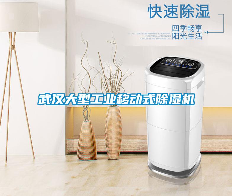 武汉大型长征娱乐移动式除湿机