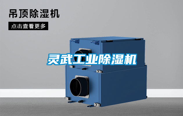灵武长征娱乐除湿机