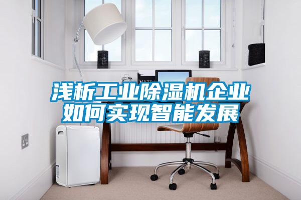 浅析长征娱乐除湿机企业如何实现智能发展