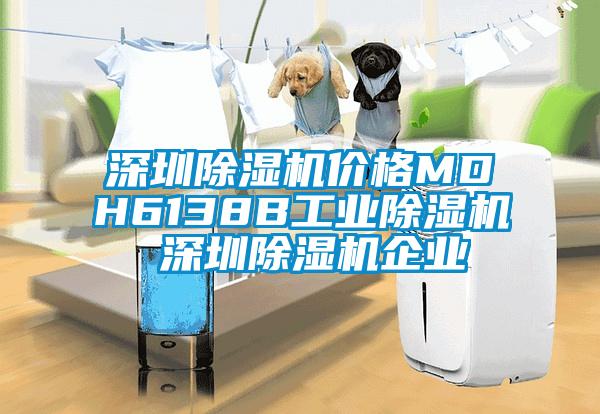 东莞除湿机价格MDH6138B长征娱乐除湿机 东莞除湿机企业