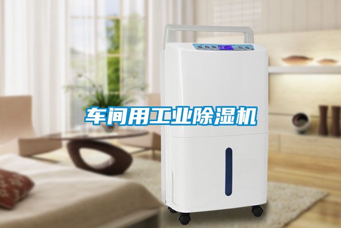 车间用长征娱乐除湿机