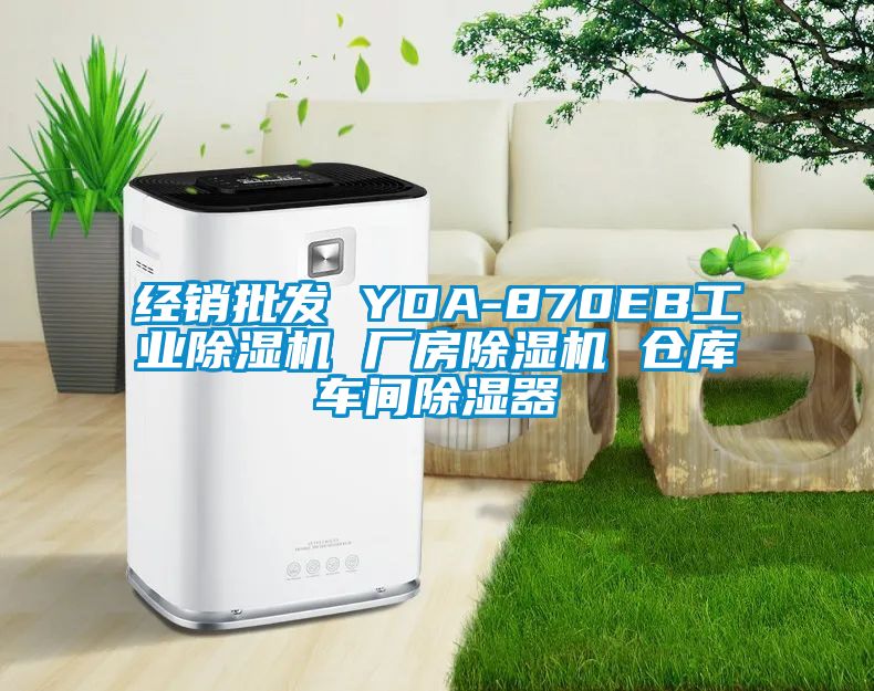 经销批发 YDA-870EB长征娱乐除湿机 厂房除湿机 仓库车间除湿器
