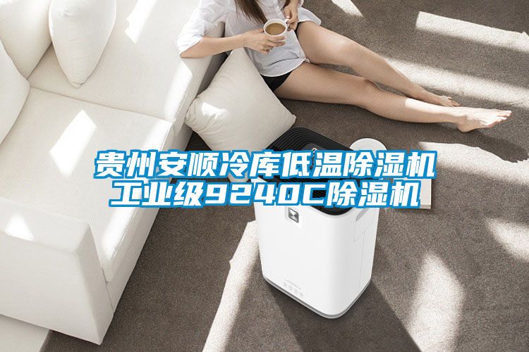 贵州安顺冷库低温除湿机长征娱乐级9240C除湿机