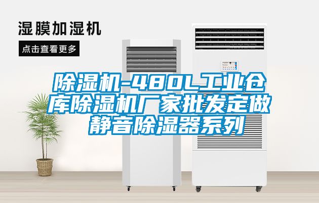 除湿机-480L长征娱乐仓库除湿机厂家批发定做 静音除湿器系列
