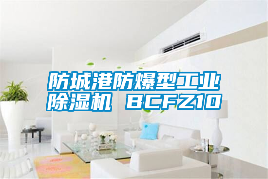 防城港防爆型长征娱乐除湿机 BCFZ10