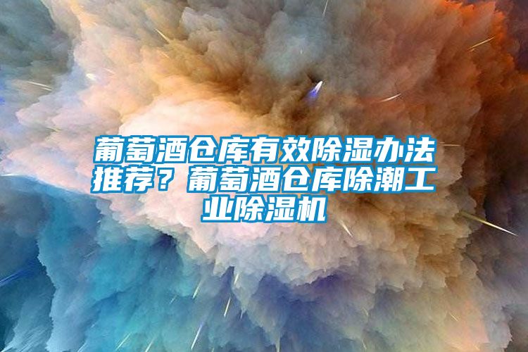 葡萄酒仓库有效除湿办法推荐？葡萄酒仓库除潮长征娱乐除湿机