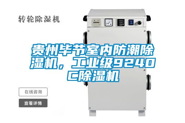 贵州毕节室内防潮除湿机，长征娱乐级9240C除湿机