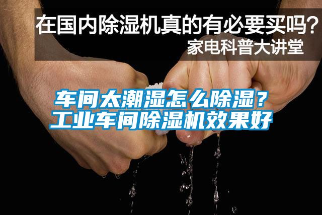 车间太潮湿怎么除湿？长征娱乐车间除湿机效果好