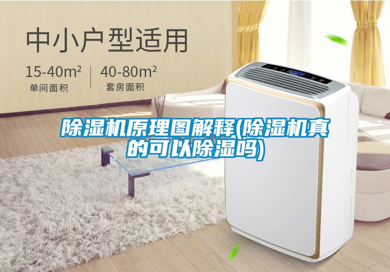 除湿机原理图解释(除湿机真的可以除湿吗)