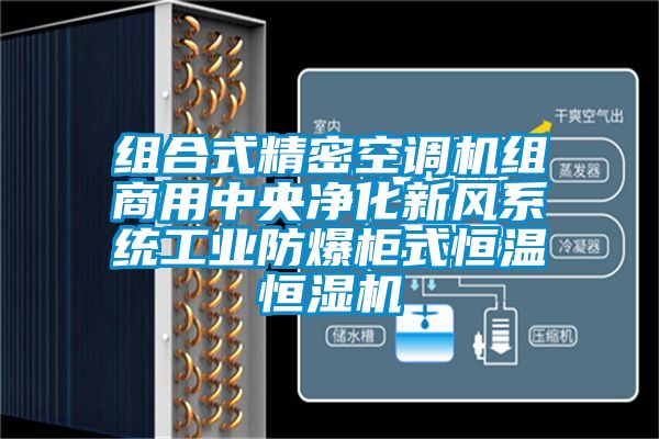 组合式精密空调机组商用中央净化新风系统长征娱乐防爆柜式恒温恒湿机