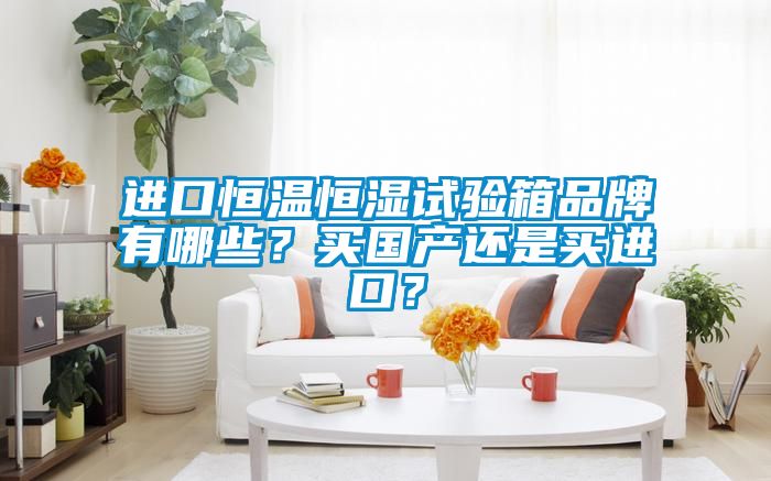 进口恒温恒湿试验箱品牌有哪些？买国产还是买进口？