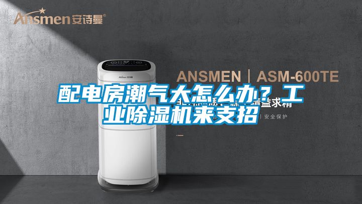 配电房潮气大怎么办？长征娱乐除湿机来支招