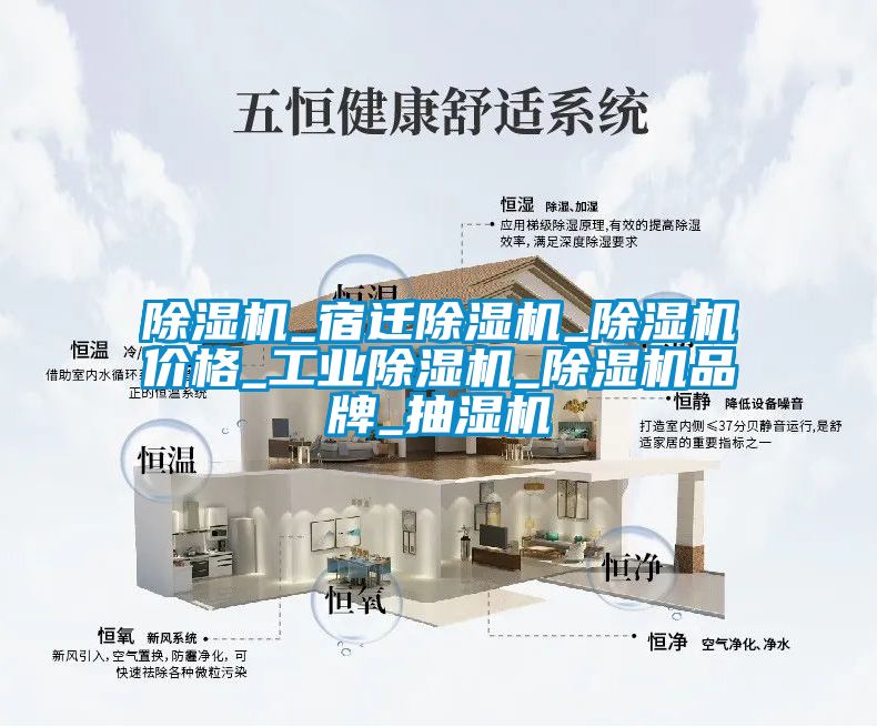 除湿机_宿迁除湿机_除湿机价格_长征娱乐除湿机_除湿机品牌_抽湿机