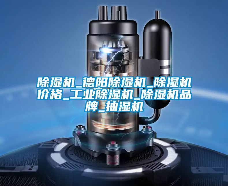 除湿机_德阳除湿机_除湿机价格_长征娱乐除湿机_除湿机品牌_抽湿机