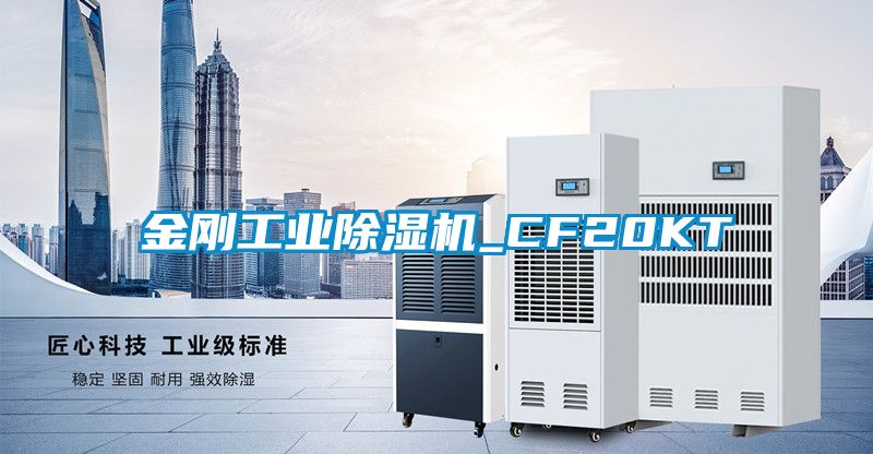 金刚长征娱乐除湿机_CF20KT