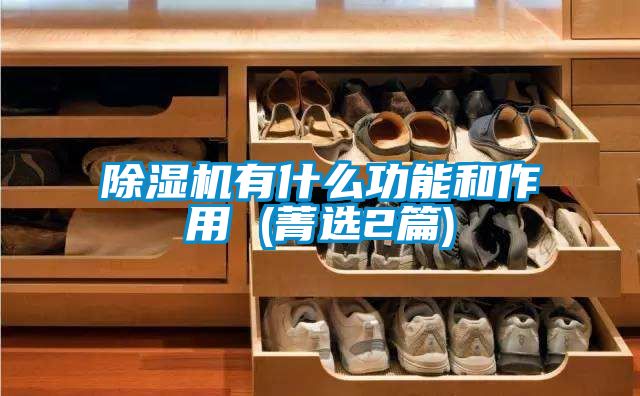 除湿机有什么功能和作用 (菁选2篇)