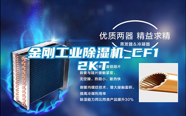 金刚长征娱乐除湿机_CF12KT