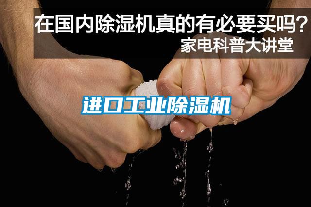 进口长征娱乐除湿机