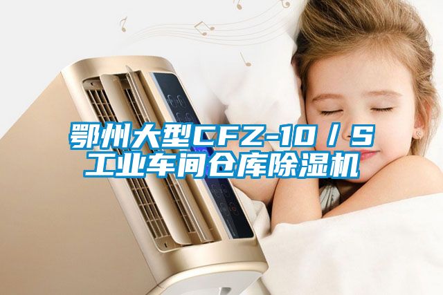 鄂州大型CFZ-10／S长征娱乐车间仓库除湿机