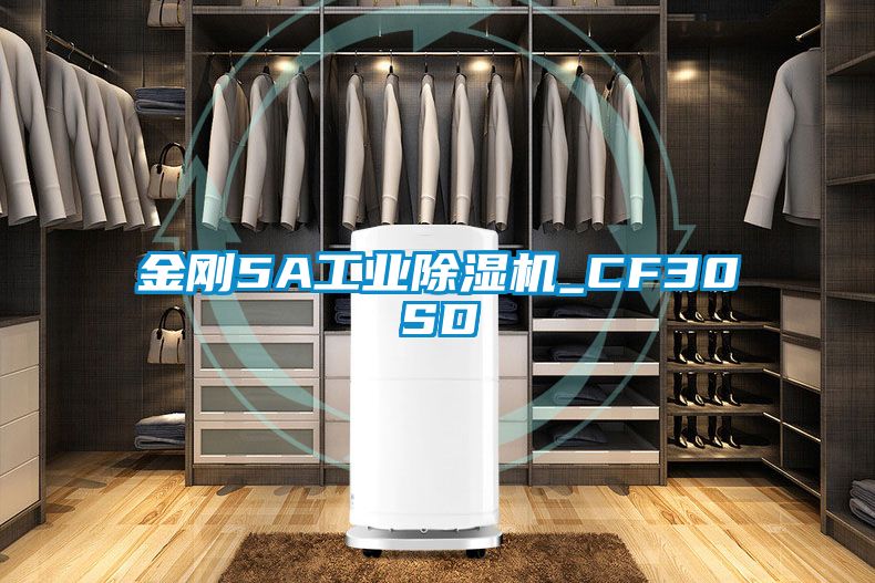 金刚5A长征娱乐除湿机_CF30SD