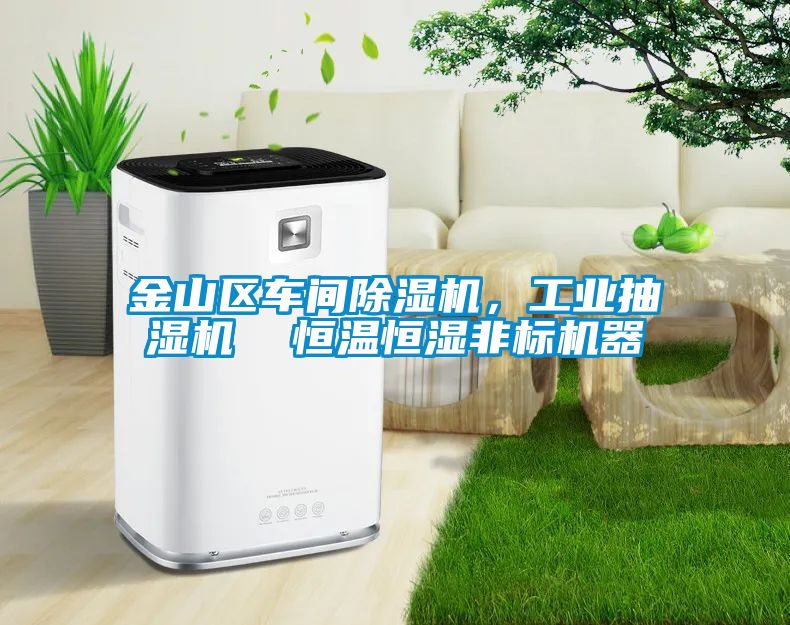 金山区车间除湿机，长征娱乐抽湿机  恒温恒湿非标机器