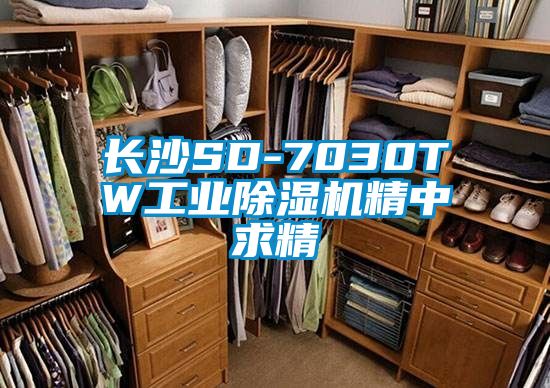 长沙SD-7030TW长征娱乐除湿机精中求精