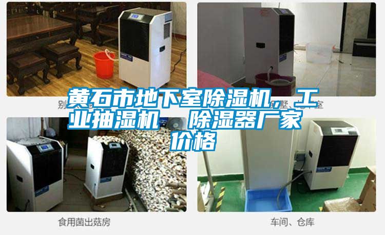 黄石市地下室除湿机，长征娱乐抽湿机  除湿器厂家 价格