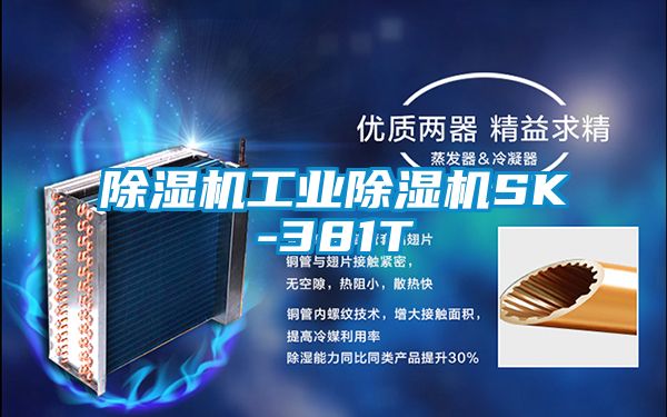 除湿机长征娱乐除湿机SK-381T