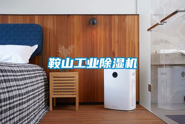鞍山长征娱乐除湿机