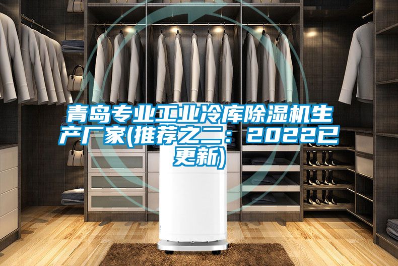 青岛专业长征娱乐冷库除湿机生产厂家(推荐之二：2022已更新)