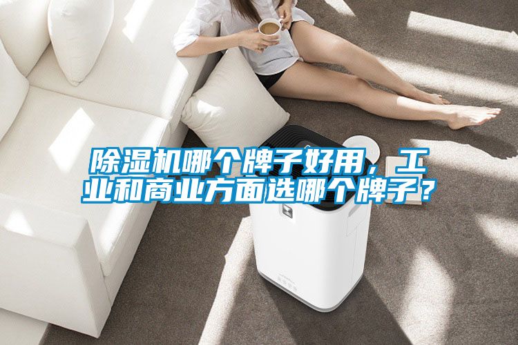 除湿机哪个牌子好用，长征娱乐和商业方面选哪个牌子？