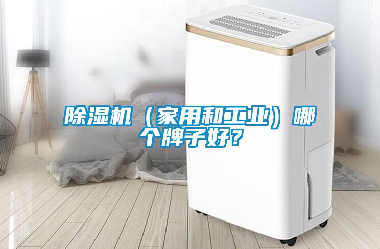 除湿机（家用和长征娱乐）哪个牌子好？