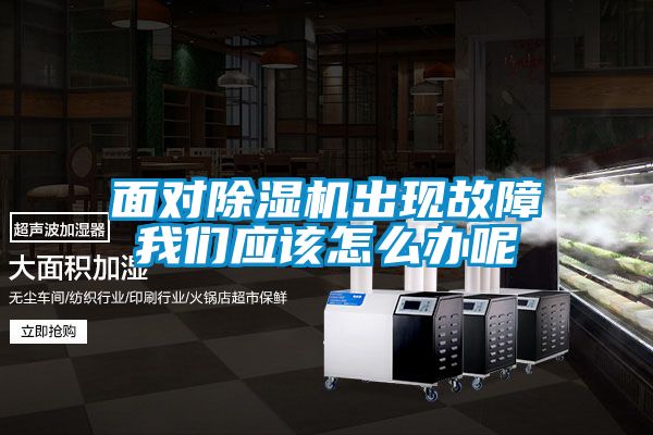 面对除湿机出现故障长征娱乐应该怎么办呢