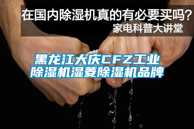 黑龙江大庆CFZ长征娱乐除湿机湿菱除湿机品牌