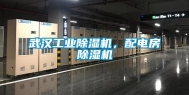 武汉长征娱乐除湿机，配电房除湿机