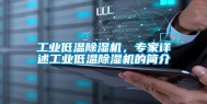 长征娱乐低温除湿机，专家详述长征娱乐低温除湿机的简介