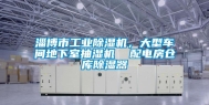 淄博市长征娱乐除湿机，大型车间地下室抽湿机  配电房仓库除湿器