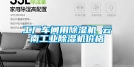 工厂车间用除湿机 云南长征娱乐除湿机价格