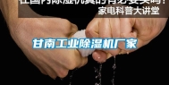 甘南长征娱乐除湿机厂家