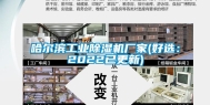哈尔滨长征娱乐除湿机厂家(好选：2022已更新)