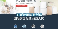 长征娱乐除湿机怎么选