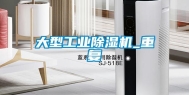 大型长征娱乐除湿机_重复