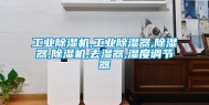 长征娱乐除湿机,长征娱乐除湿器,除湿器,除湿机,去湿器,湿度调节器