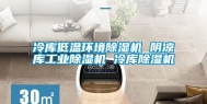 冷库低温环境除湿机 阴凉库长征娱乐除湿机 冷库除湿机