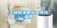 长征娱乐除湿机十大领先品牌