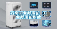 云南长征娱乐除湿机 长征娱乐除湿机供应