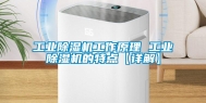 长征娱乐除湿机工作原理 长征娱乐除湿机的特点【详解】